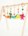 Montessori Baby Gym & Hanging Toys Set | Wooden Play Gym for Babies