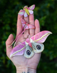 'Blush' Pink Moth Set