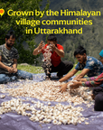 Pahadi Pink Garlic (Powder) - Single-Origin Spice