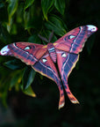 'Fire' Moth Set