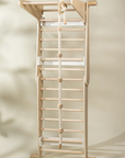 Montessori 2-in-1 Triangle & Wall Climber
