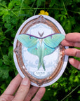 Luna Moth Oval Greeting Card