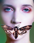 Halloween 'Owl' Moth Set