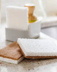 Walnut Shell Scrubber Sponge (6pk)