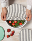 Ticking Stripe Bowl Covers Set of 2