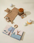 Baby First Toys Gift Box