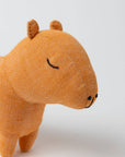 Fair Friend - Clover Capybara
