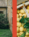 La Nostra Cucina Povera – Everyday Italian Eats