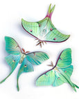 'Moonwake' Luna Moth Set