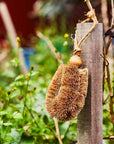 Ethical Global - Gardener’s Brush, All Natural, Handmade