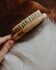 Dog Brush