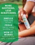 Badger Itch Relief Stick, Anti-Itch Cream for Bug Bites 12ct