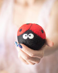 Friendsheep - Eco Wool Dryer Balls