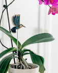 Hummingbird Plant Stake, Spring and Summer Decor, Garden Art
