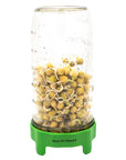 Rust Proof Sprouting Lid with Built-In Stand for Wide Mouth