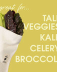 LARGE Vegetable Saver Bag | Organic Cotton Produce Bag