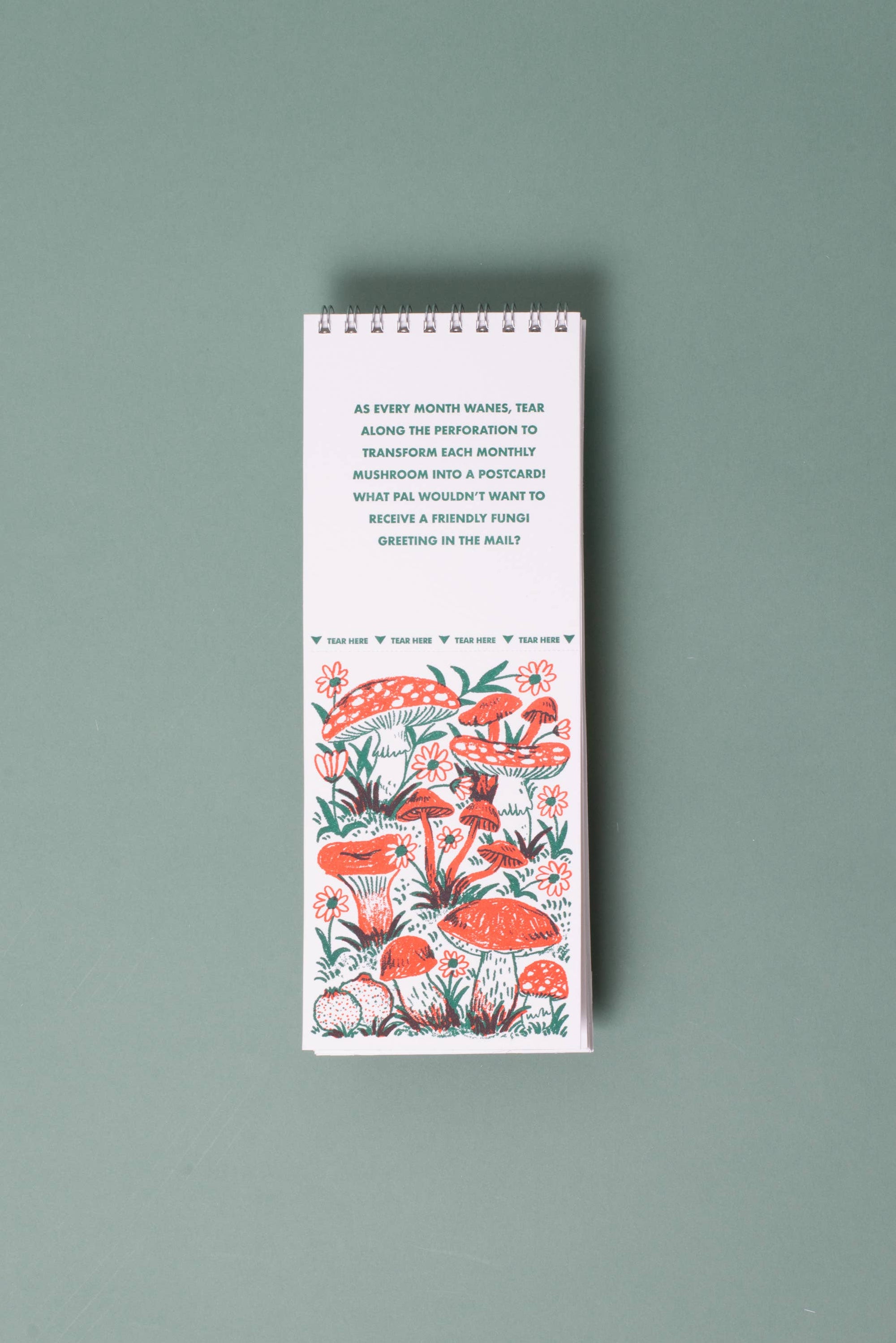 2027 Gnomes &amp; Mushrooms Postcard Wall Calendar Phoebe Wahl