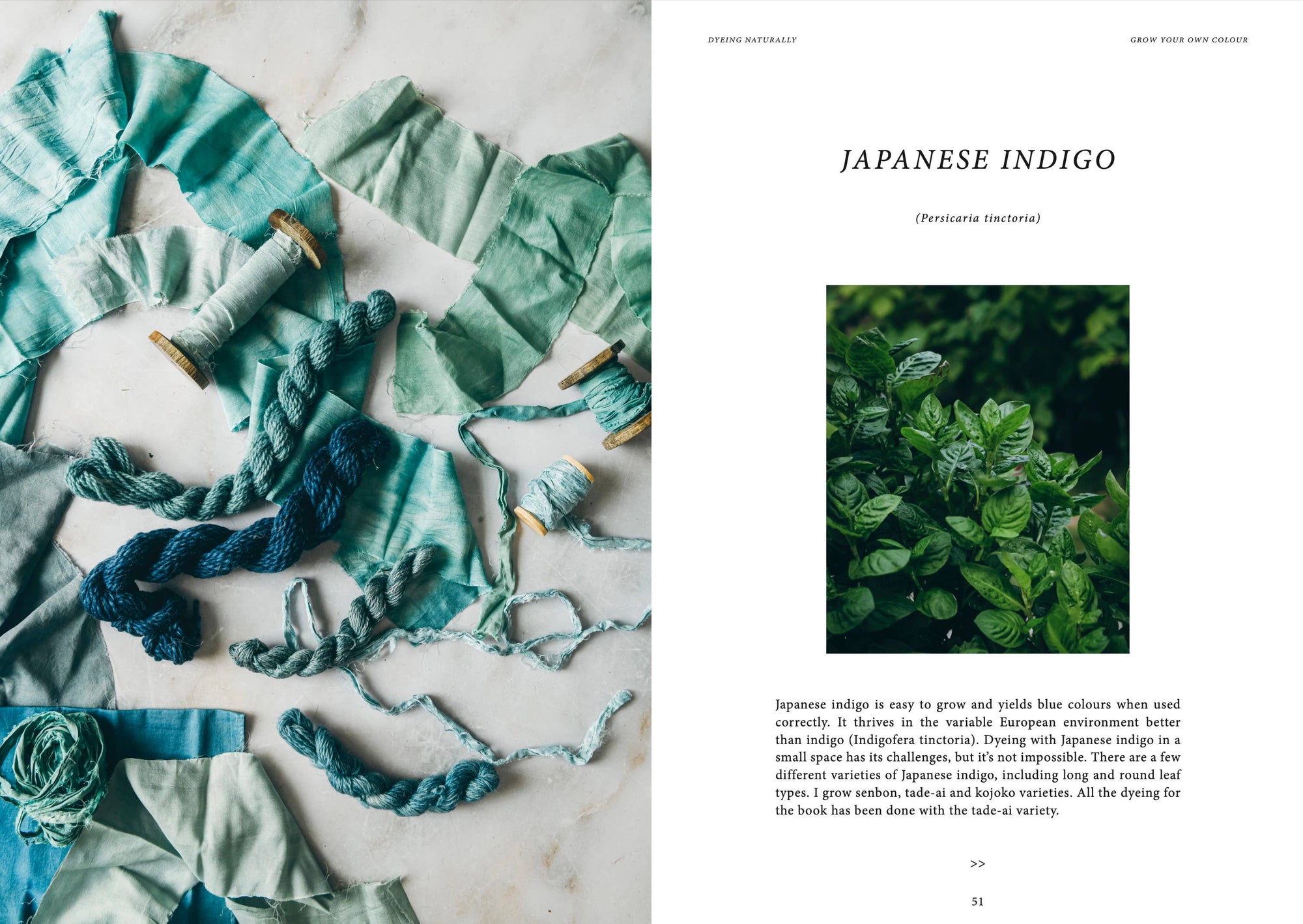 Cozy Publishing - Dyeing Naturally