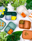 Silicone Bento Box - Reusable Lunch Boxes