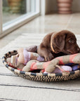 Ashi Dog Toy Large - Cherry Red/Taupe