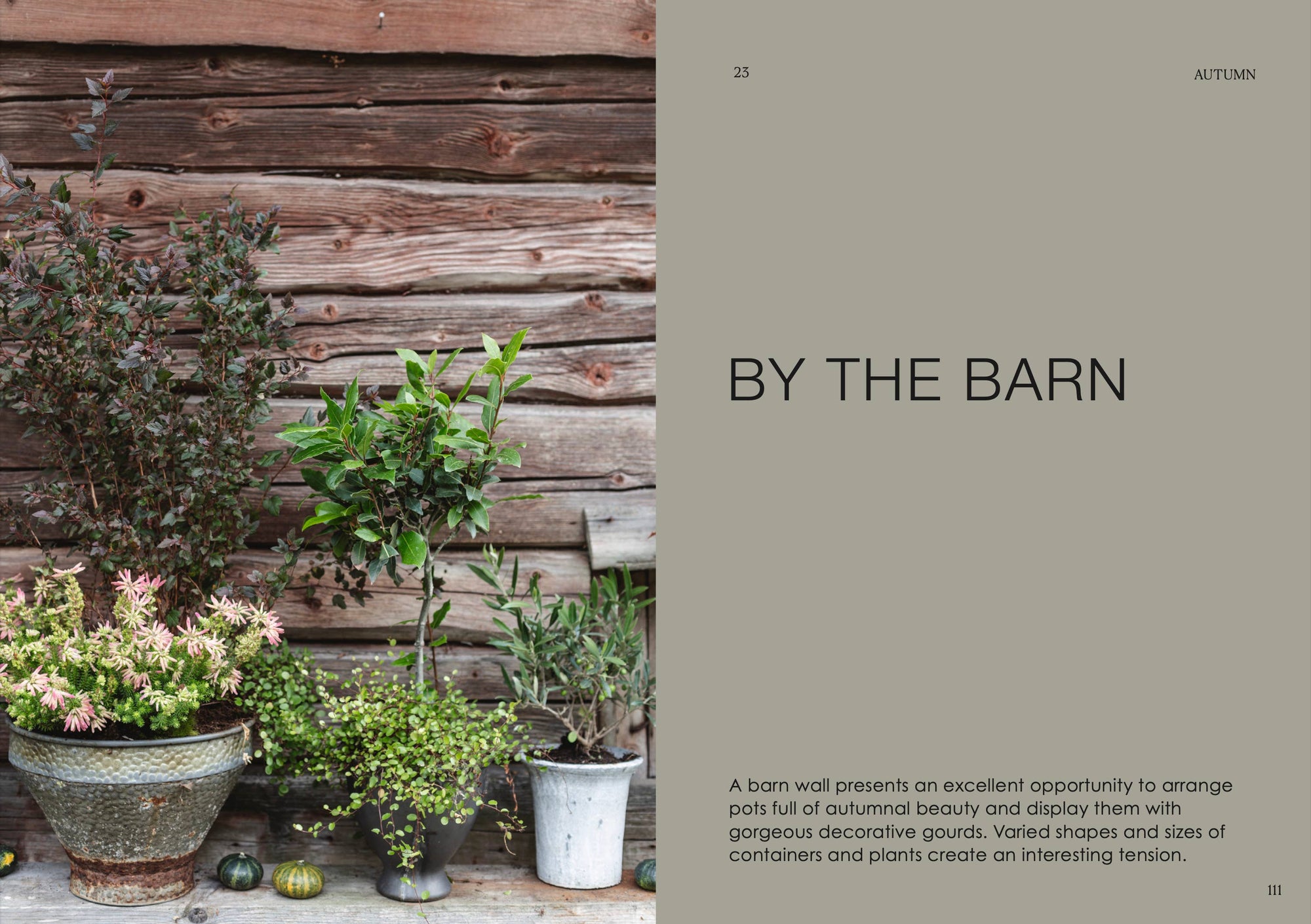 Cozy Publishing - The Potted Garden - All Year Round