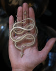 'Ouroboros' Mini Snake Skeleton Set