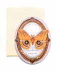 Polyphemus Moth Oval Greeting Card