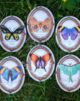 Polyphemus Moth Oval Greeting Card