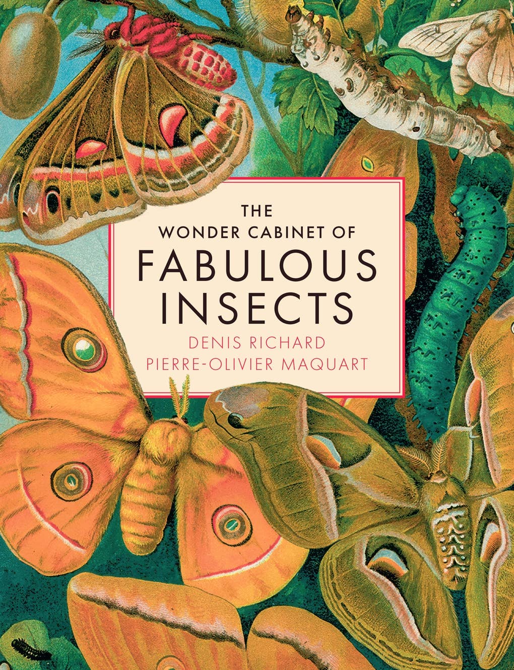 The Wonder Cabinet of Fabulous Insects: Secrets of the