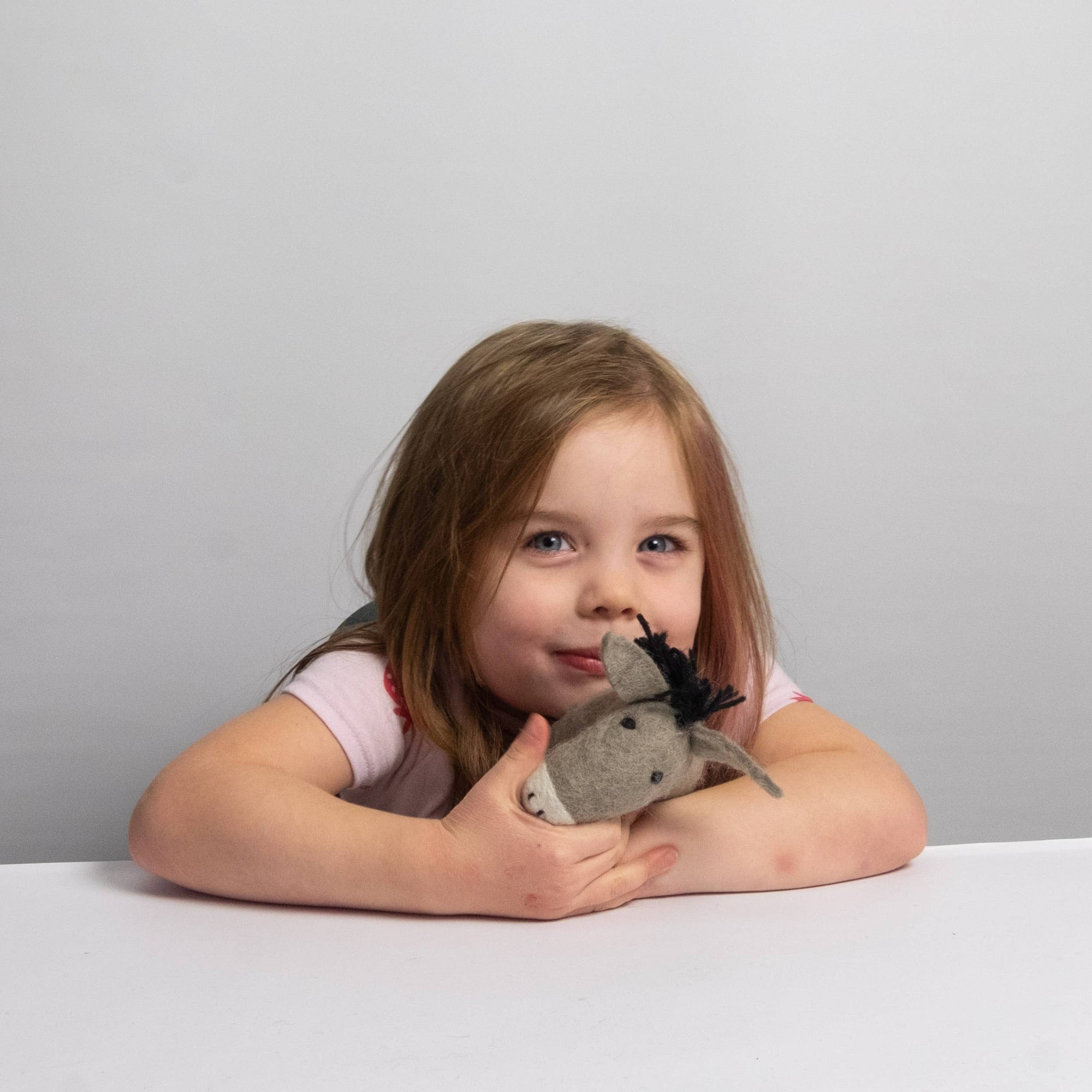 The Winding Road - Toys - Donkey