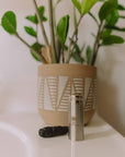 Vegan Biodegradable Charcoal Dental Floss - Stainless Steel