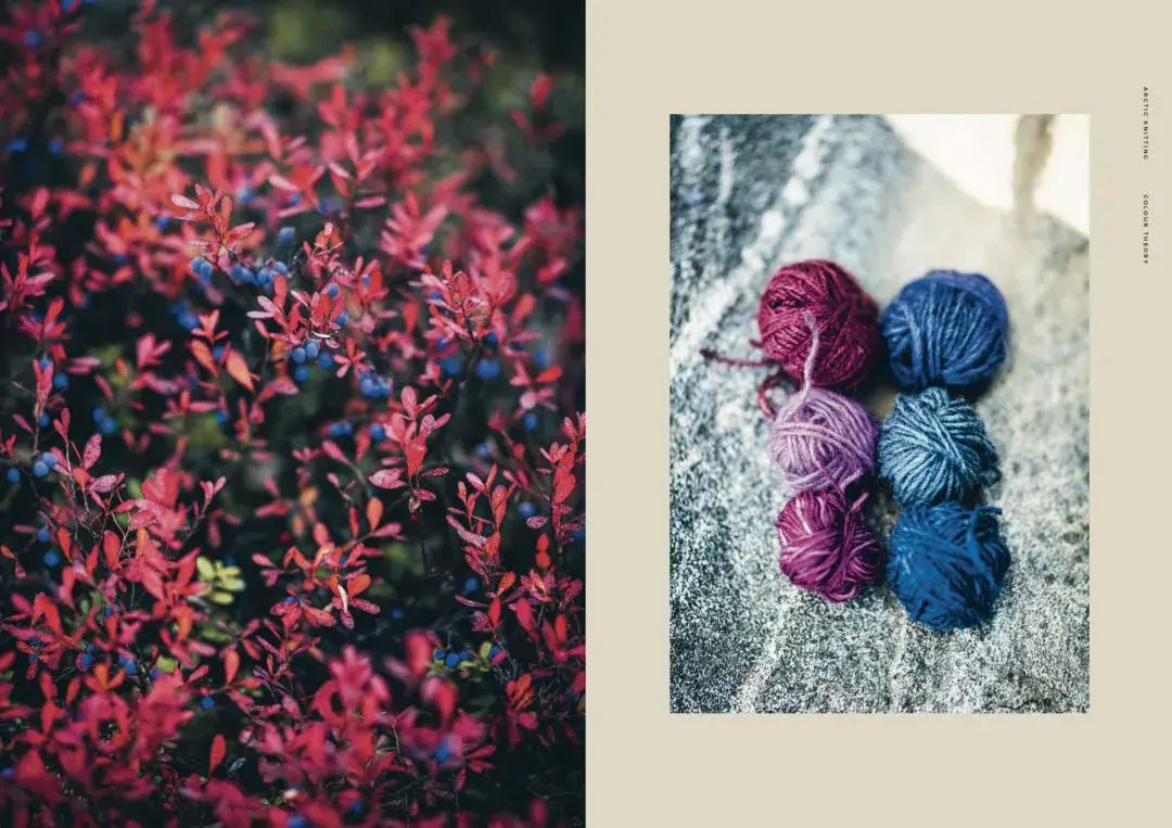 Cozy Publishing - Arctic Knitting