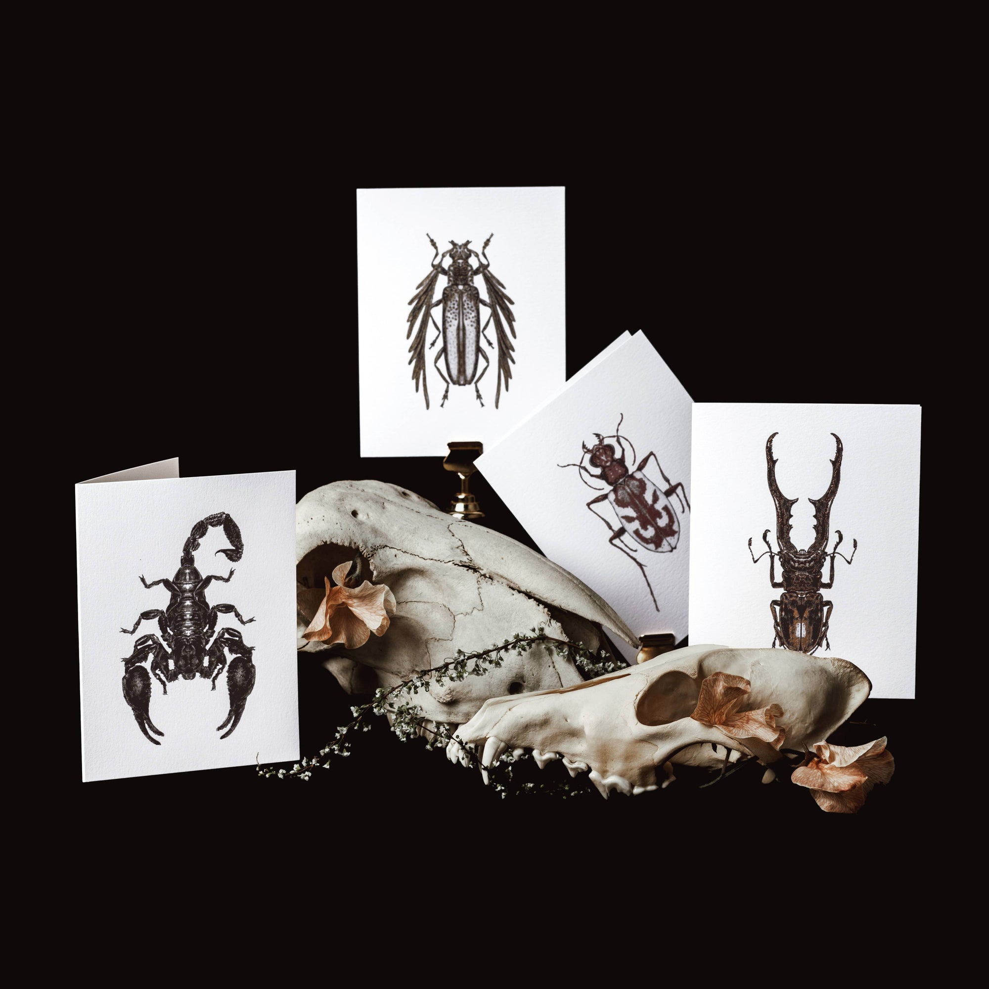 Stag Beetle Foil Greeting Card