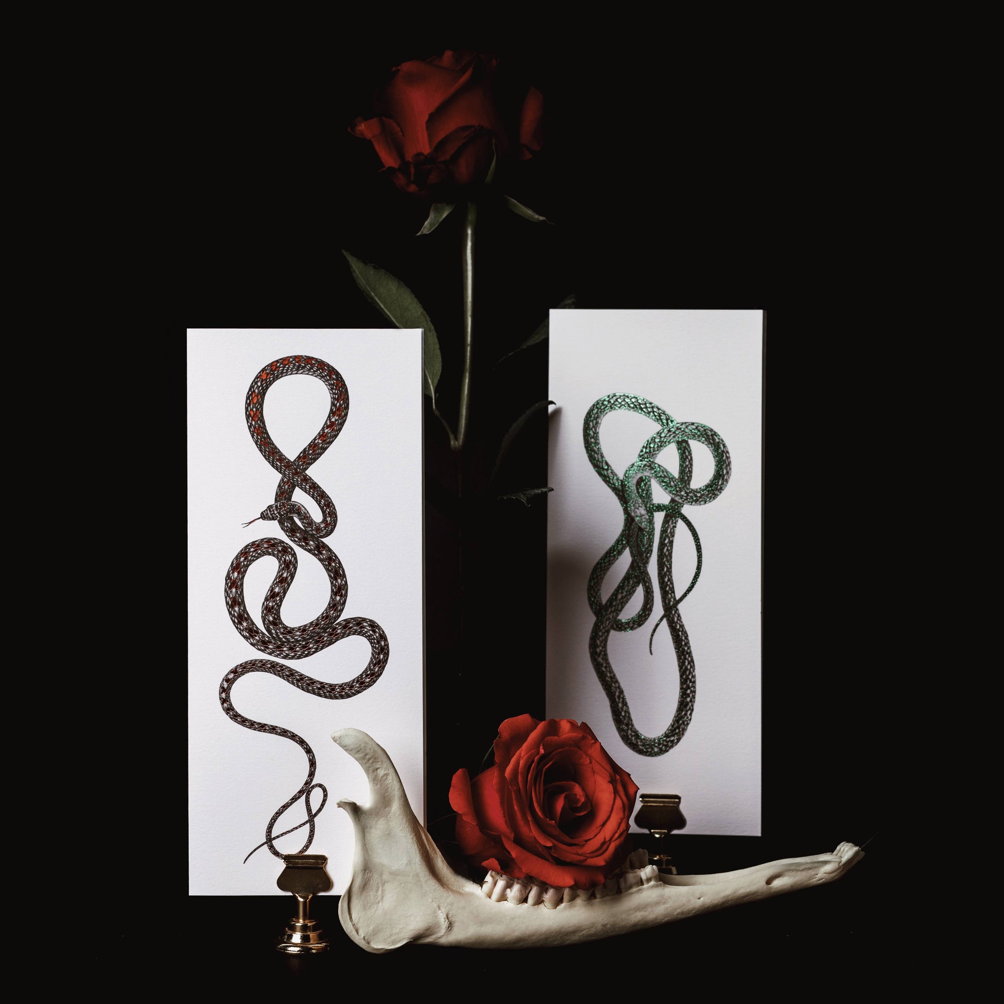 Paradise Flying Foil Snake Greeting Card
