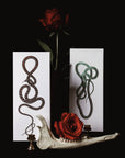 Paradise Flying Foil Snake Greeting Card