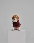 Montage Expandable Hoodie -  Red/Blue