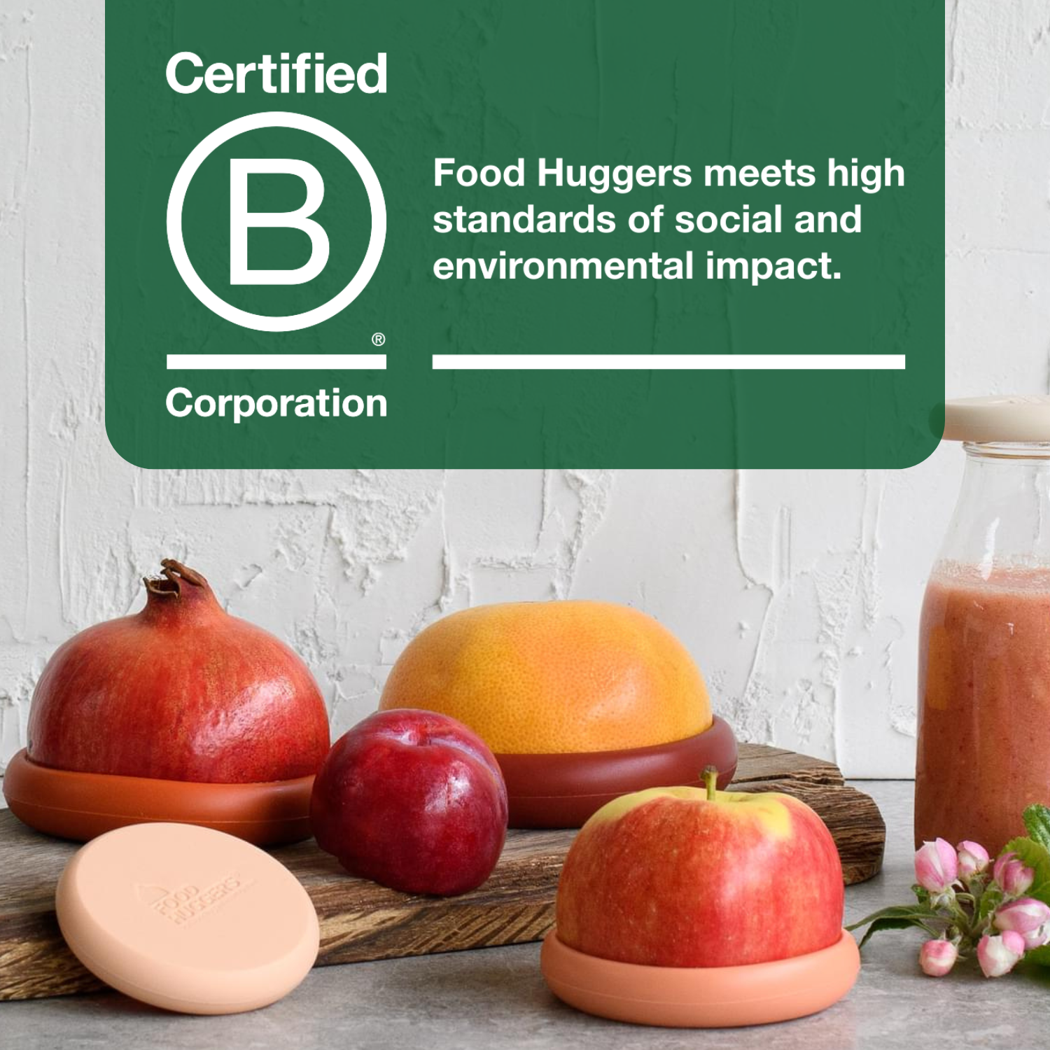 Food Huggers - Terra Cotta Food Huggers - Set of 5