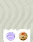 Vegan Body Cream with Aloe Vera + Cocoa Butter for Dry Skin