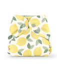 Outer (+ Swim Diaper)