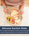 Silicone Suction Plate