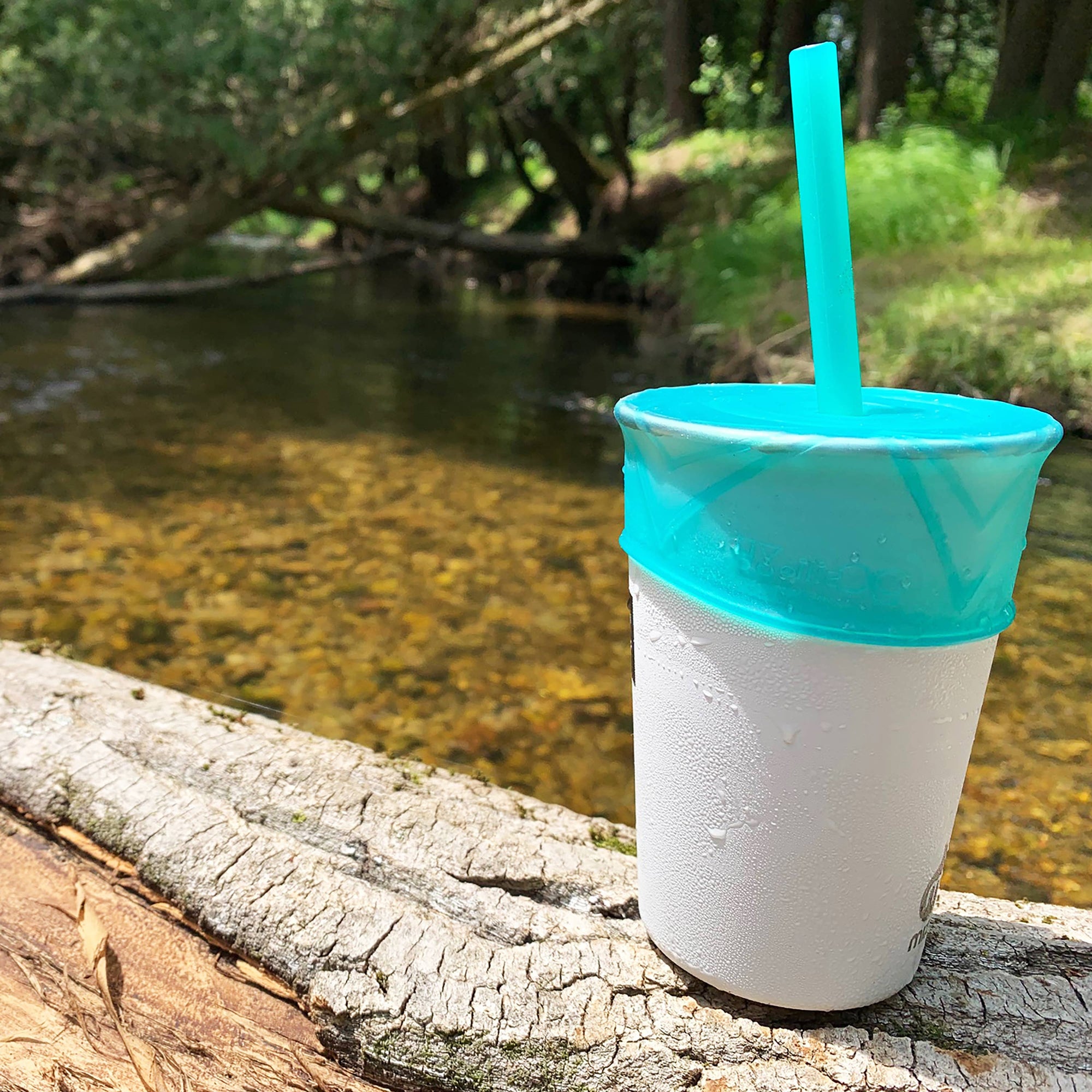 Universal Lid and Standard Straw + Travel Case