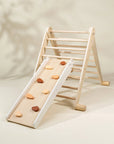 Montessori 2-in-1 Grip Climber Board & Slide