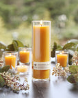 Sanctuary Glass Candle – 100% Pure Beeswax – 90 Hour Burn