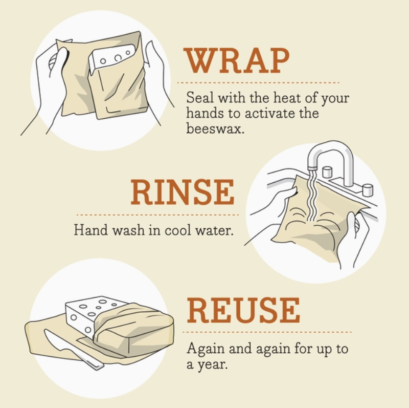 Bee's Wrap - Lunch Pack - Bees &amp; Bears Print