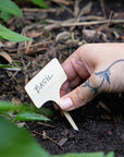 Seed Library