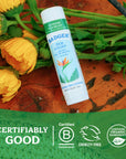 Badger Itch Relief Stick, Anti-Itch Cream for Bug Bites 12ct