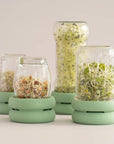 Food Huggers - Sprout Huggers