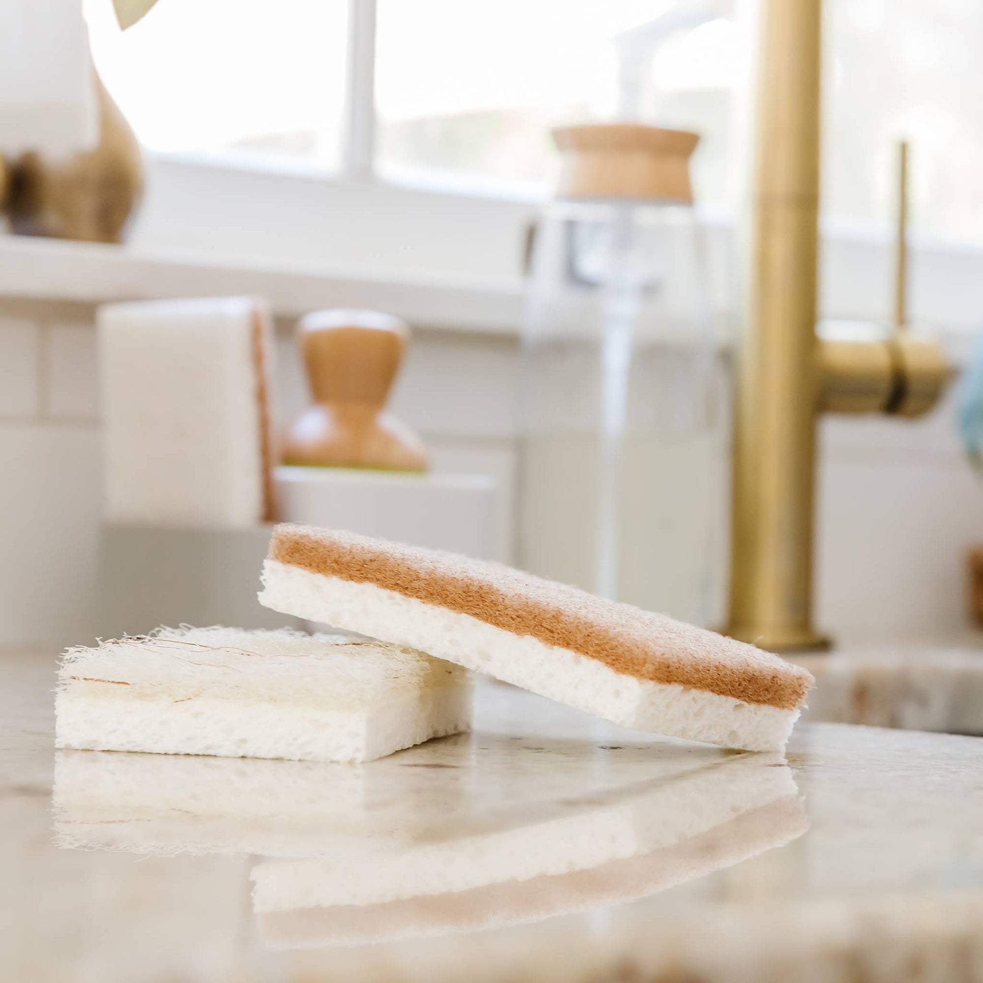 Natural Scrubber Sponge Duo Set (6pk)