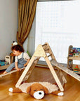 3 size Montessori Triangle Climber Set | Indoor Playground for Kids