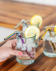 Turtleneck Stainless Steel Bendable Straw sets
